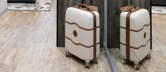 Delsey koffer - BagageKiezer.nl