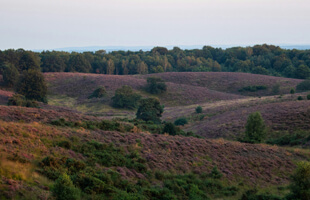 Veluwe Nederland – BagageKiezer.nl Veluwe Nederland - BagageKiezer.nl